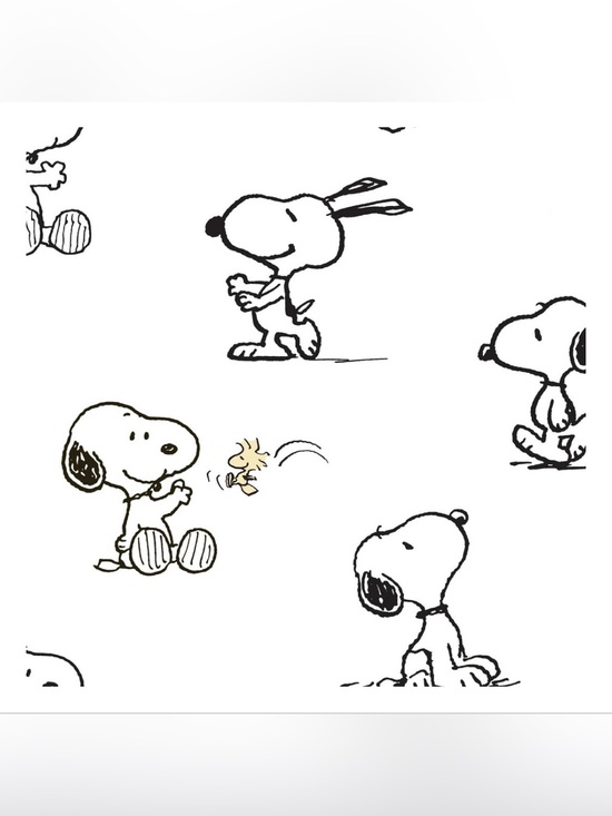 Peanuts Other - Peanuts - Classic Snoopy 100% Cotton White/Black Flat Sheet with Pillowcase